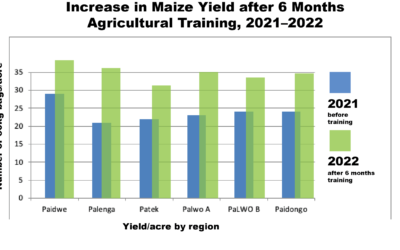 Maize Yield Improves with Training
